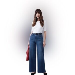 Banana Republic Dark Blue Flare Jeans 29L